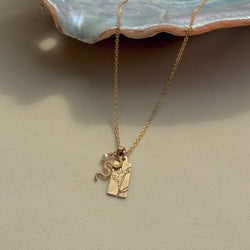 VIDA CHARM NECKLACE