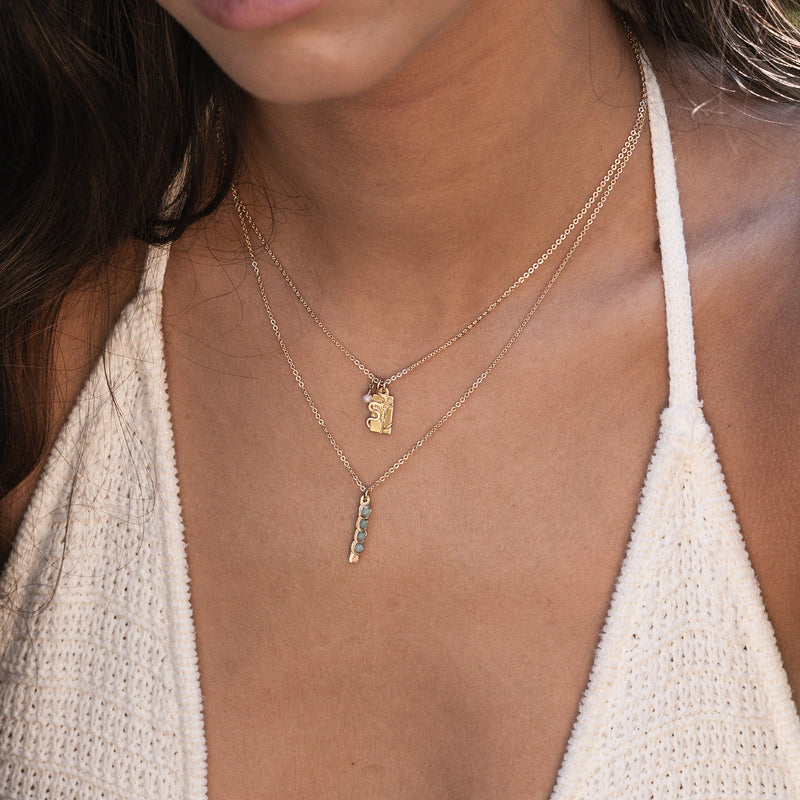 VIDA CHARM NECKLACE